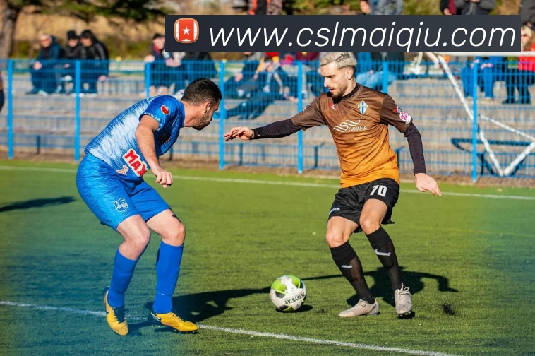 中超买球官网APP 高清赛事图